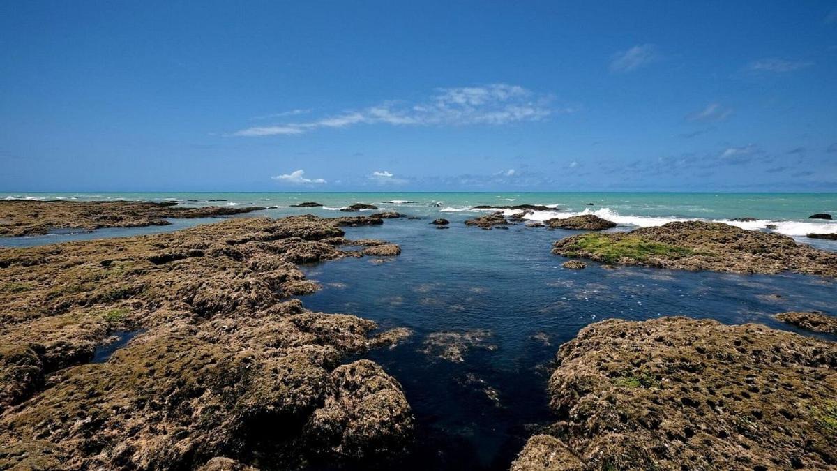 Abaetetuba Pousada São Miguel dos Milagres المظهر الخارجي الصورة
