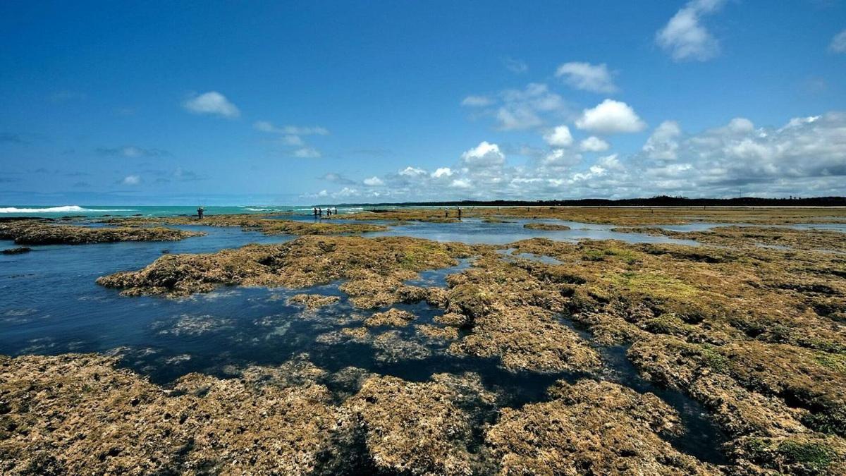 Abaetetuba Pousada São Miguel dos Milagres المظهر الخارجي الصورة